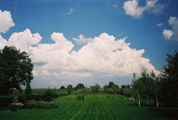 Felhok
