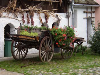 Kukorica