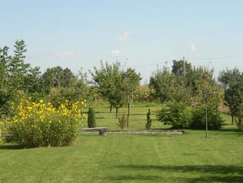 Nyár