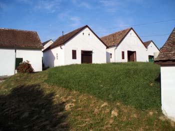 Palkonya