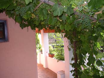 Pergola