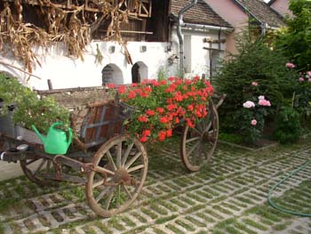 Szekér